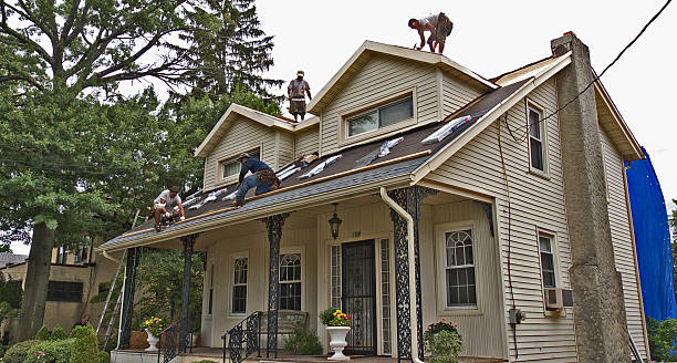 Best Affordable Roof Replacement  in Ravenswood, WV