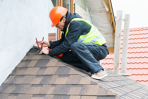 Best Metal Roofing Contractor  in Ravenswood, WV