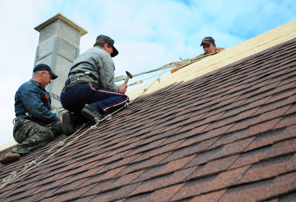 Best Roof Leak Repair  in Ravenswood, WV