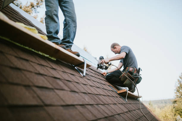 Quick and Trustworthy Emergency Roof Repair Services in Ravenswood, WV