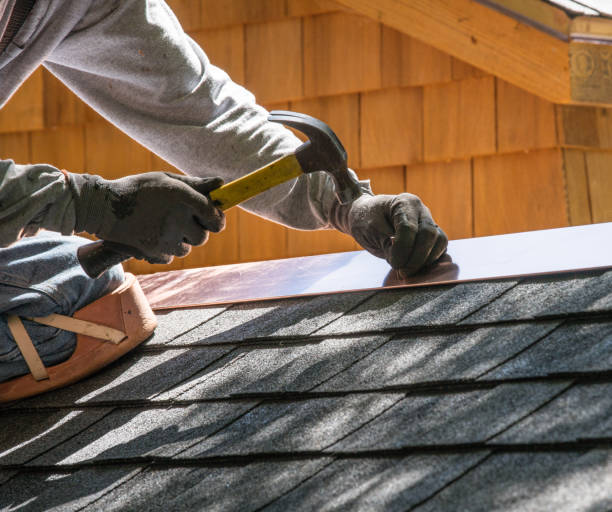 Best Roof Maintenance Services  in Ravenswood, WV
